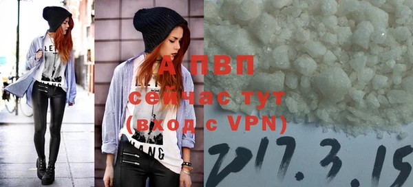 хмурый Нея