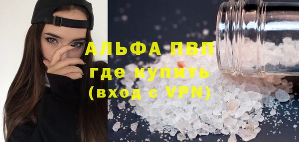 ешки Новозыбков