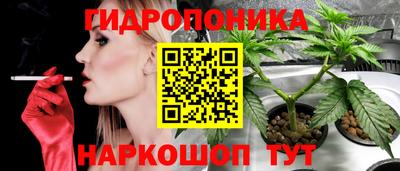 соль ск Будённовск