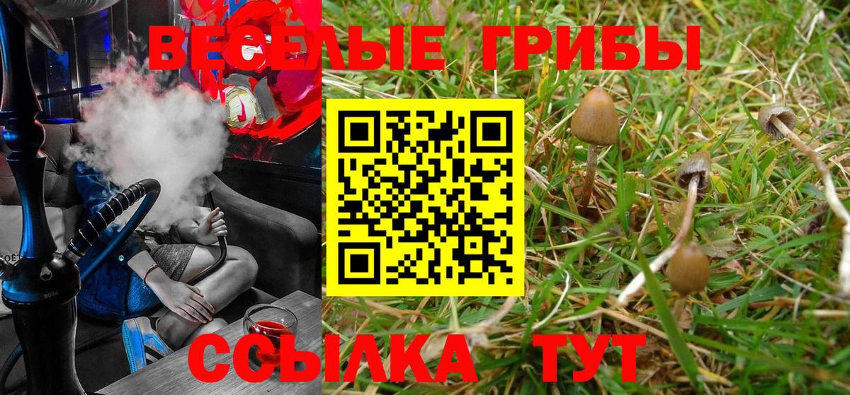 Галлюциногенные грибы MAGIC MUSHROOMS  Псилоцибиновые грибы ЛСД  Вход с VPN  Котовск 