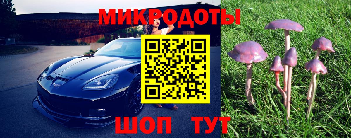 Галлюциногенные грибы мухоморы Котовск